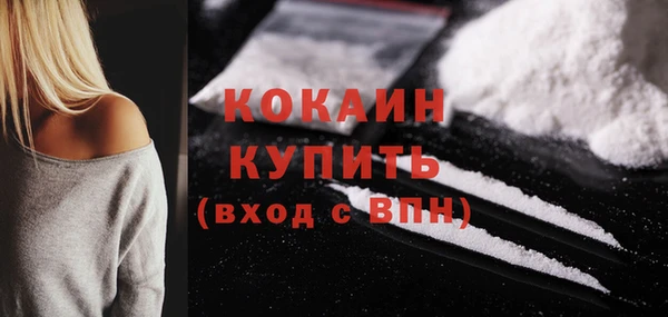 сатива Сатка