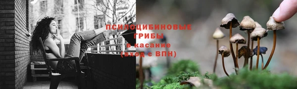 кокс Абдулино