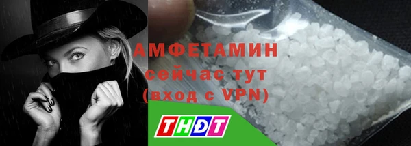 сатива Сатка