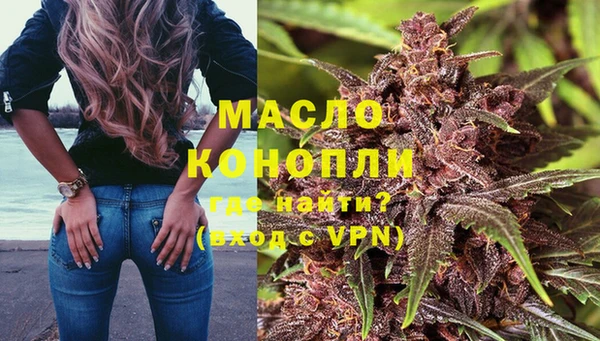 сатива Сатка