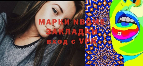 сатива Сатка