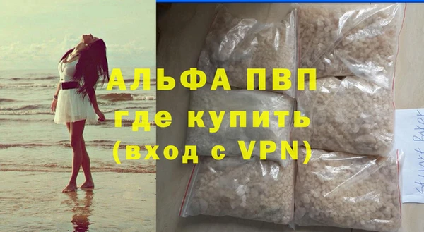 сатива Сатка