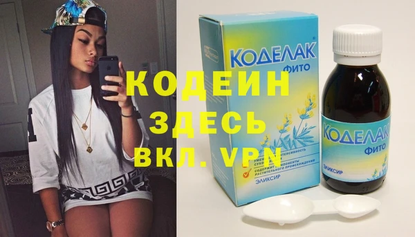 сатива Сатка