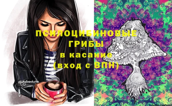 сатива Сатка