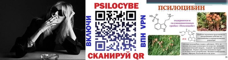 Псилоцибиновые грибы Cubensis  Углегорск 
